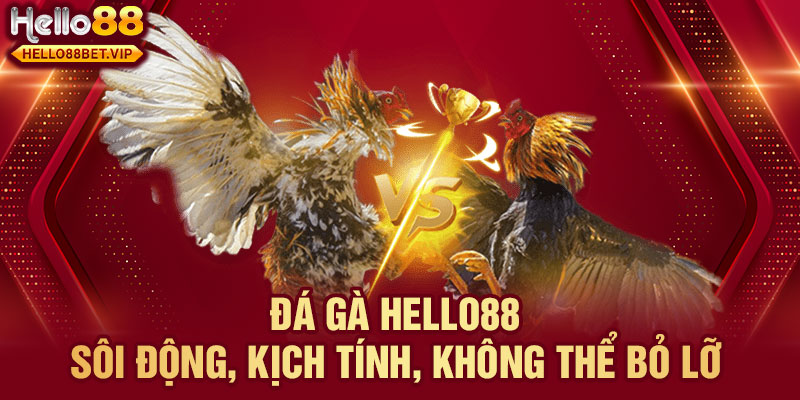 Đá gà đỉnh cao, kịch tính từng giây - HELLO88