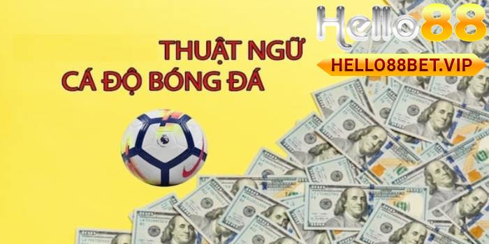 Các Thuật Ngữ Trong Cá Độ Bóng Đá Tại HELLO88