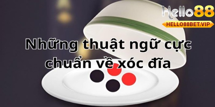 Thuật ngữ phổ biến trong xóc đĩa